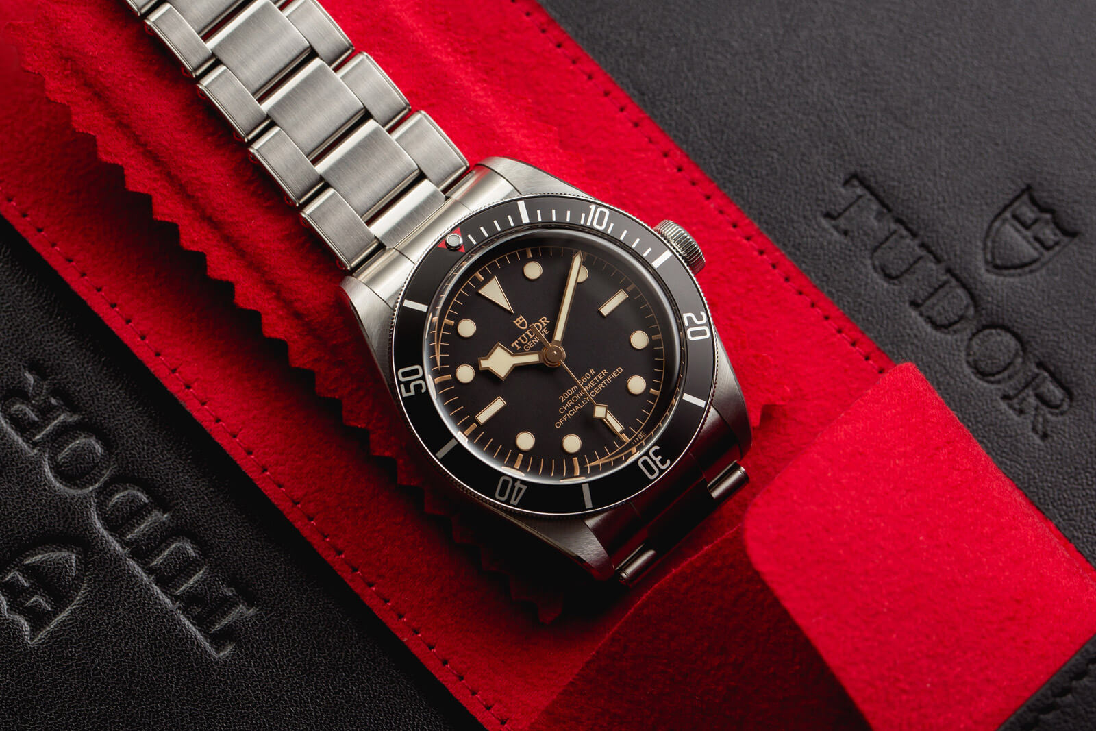 Tudor Black Bay  Referenca 79230N